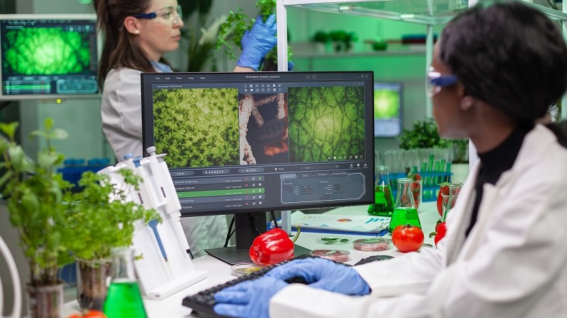 naousar biologist researcher typing gmo expertise computer scientific microbiology experiment